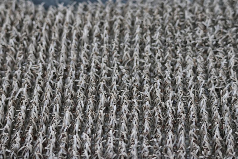 Carpet Cushion Replacement in Littleton, CO